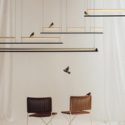 Arisha Minimalista Lineal Metal/Acrílico Lámpara Colgante — imagen 8 | Aura Lighting