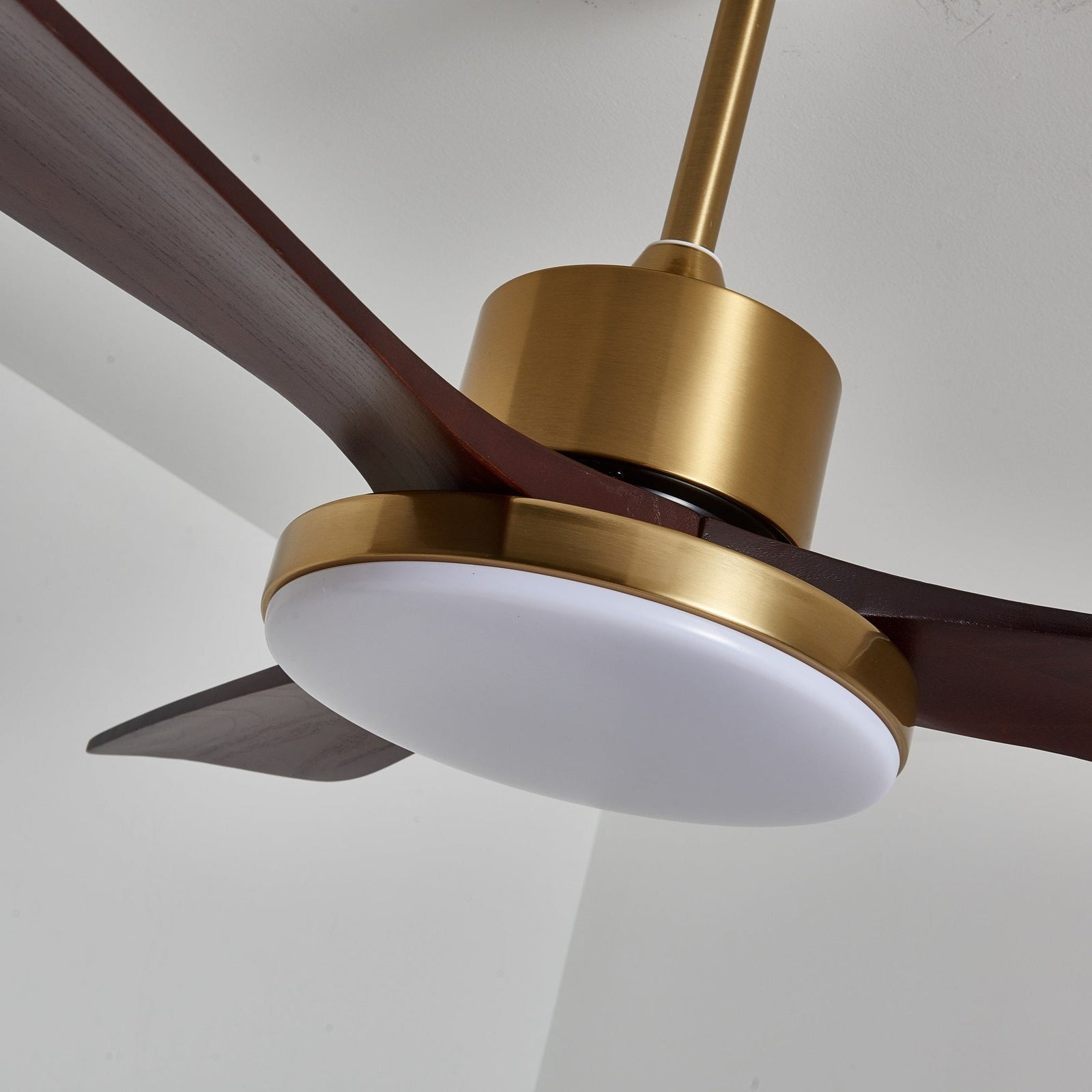 Lámpara Ventilador de Techo Xen con pantalla acrílica blanca