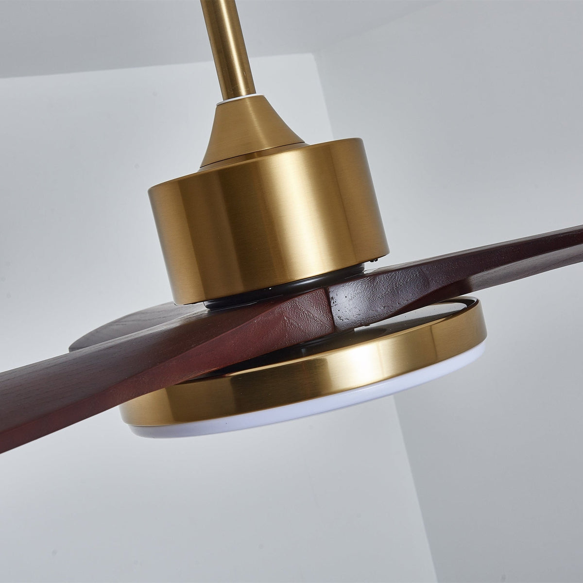 Lámpara Ventilador de Techo Moderna Xen, primer plano de la carcasa del motor