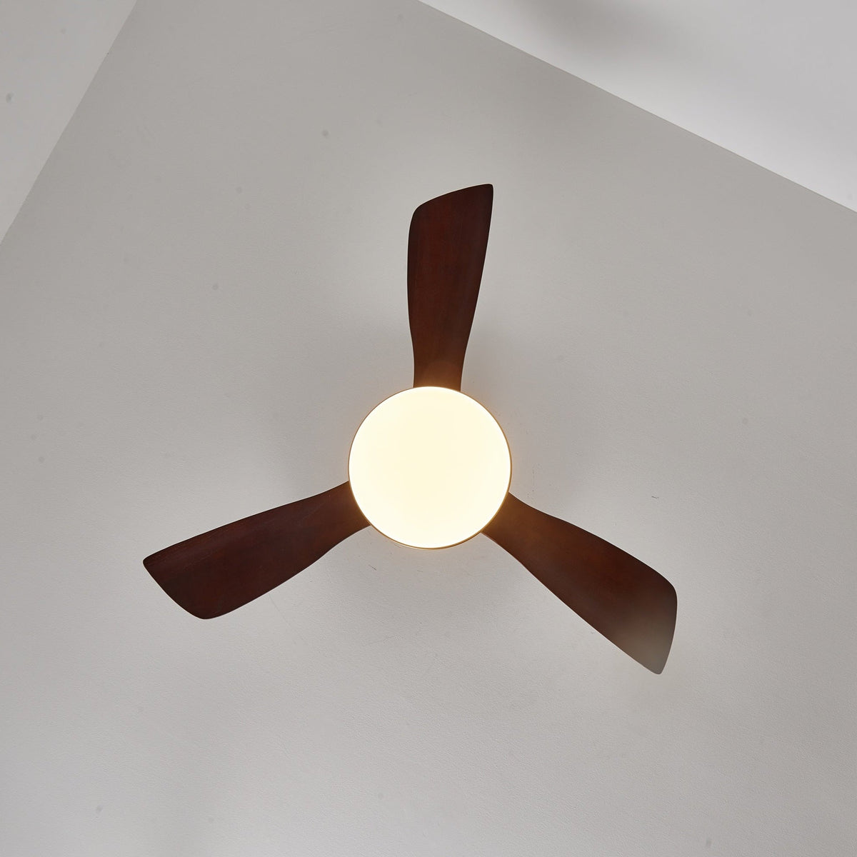 Lámpara Ventilador de Techo Xen, foto de ambiente