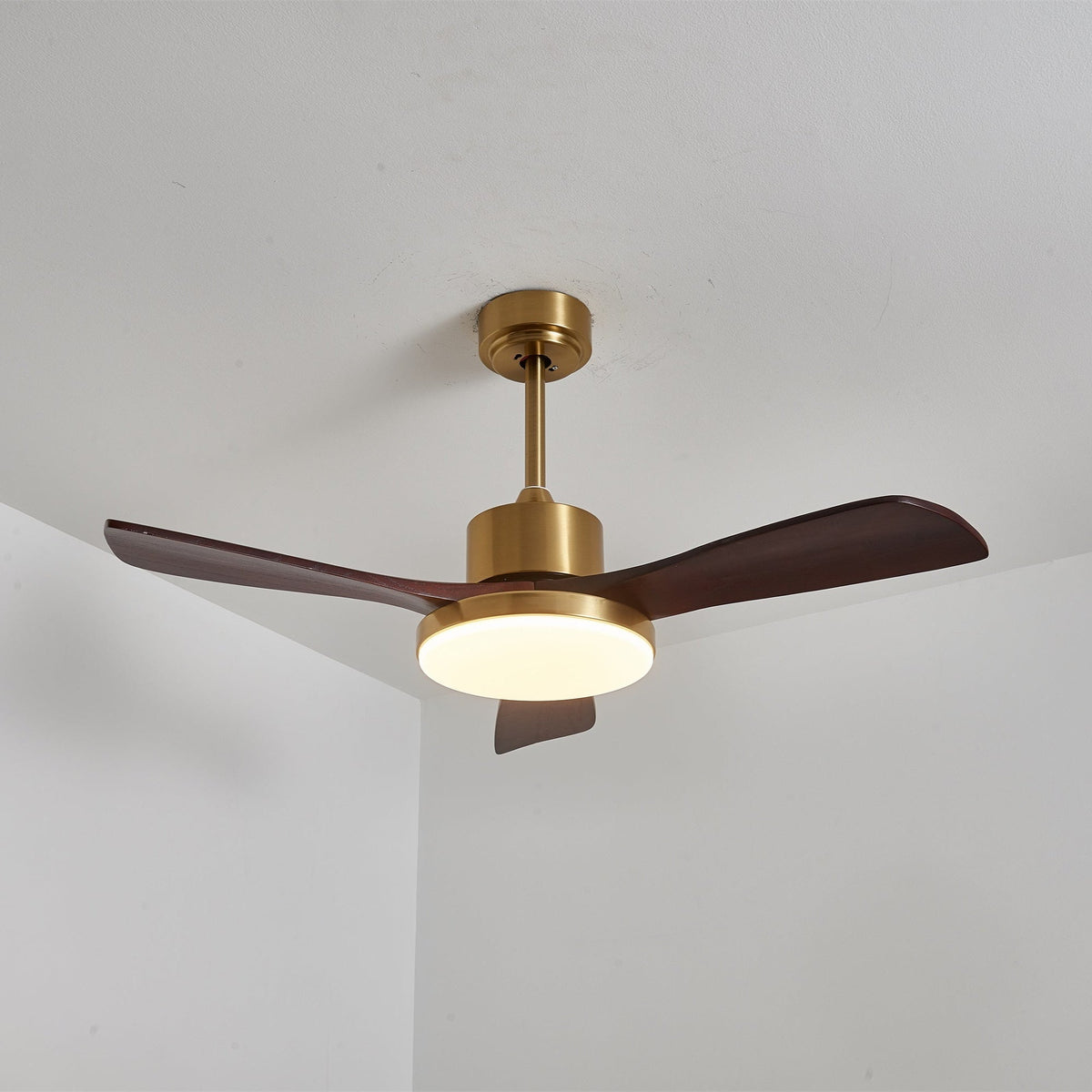 Lámpara Ventilador de Techo Moderna Xen de Madera con aspas de madera