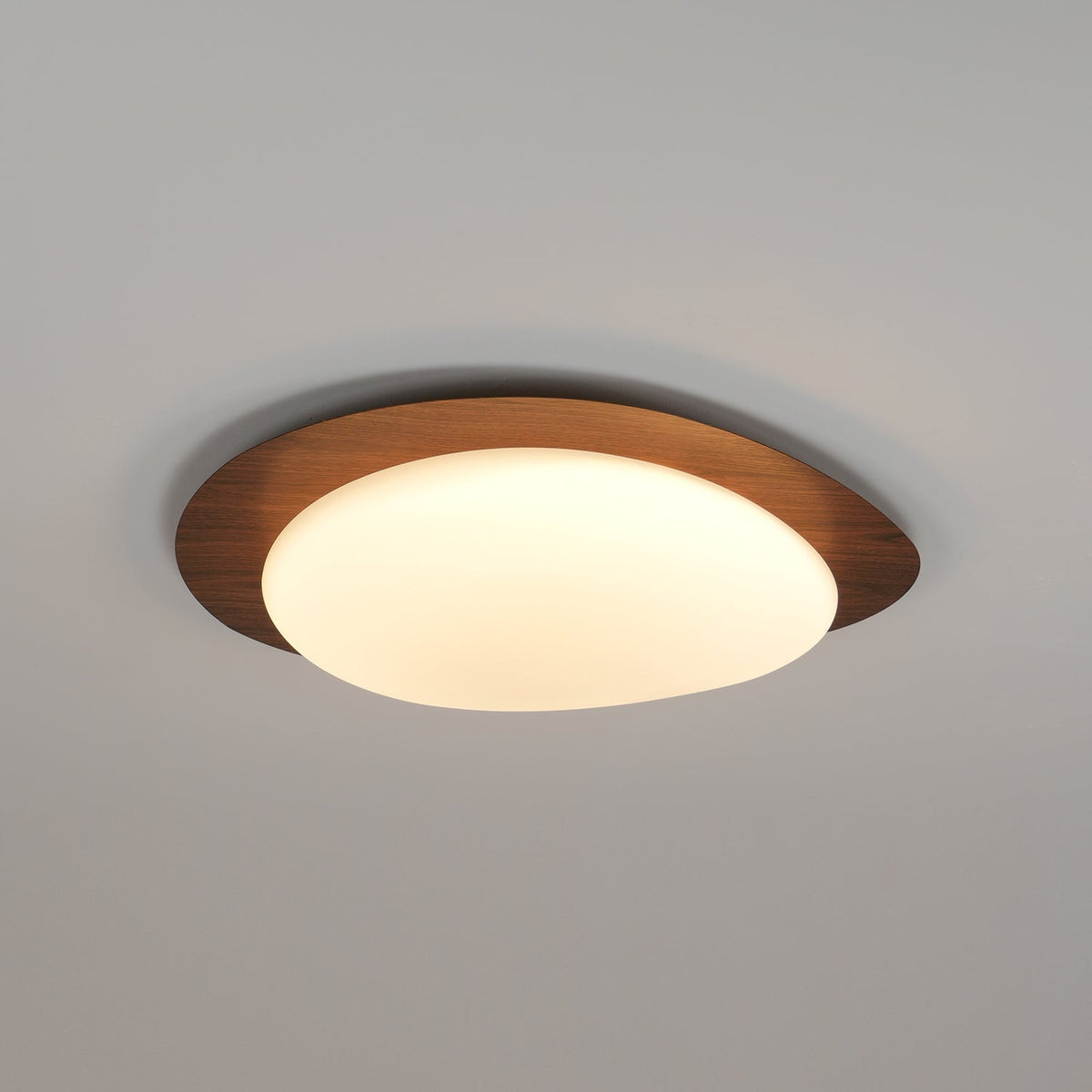 Muto Lámpara de Techo Nogal con Forma de Guijarro — imagen 7 | Aura Lighting