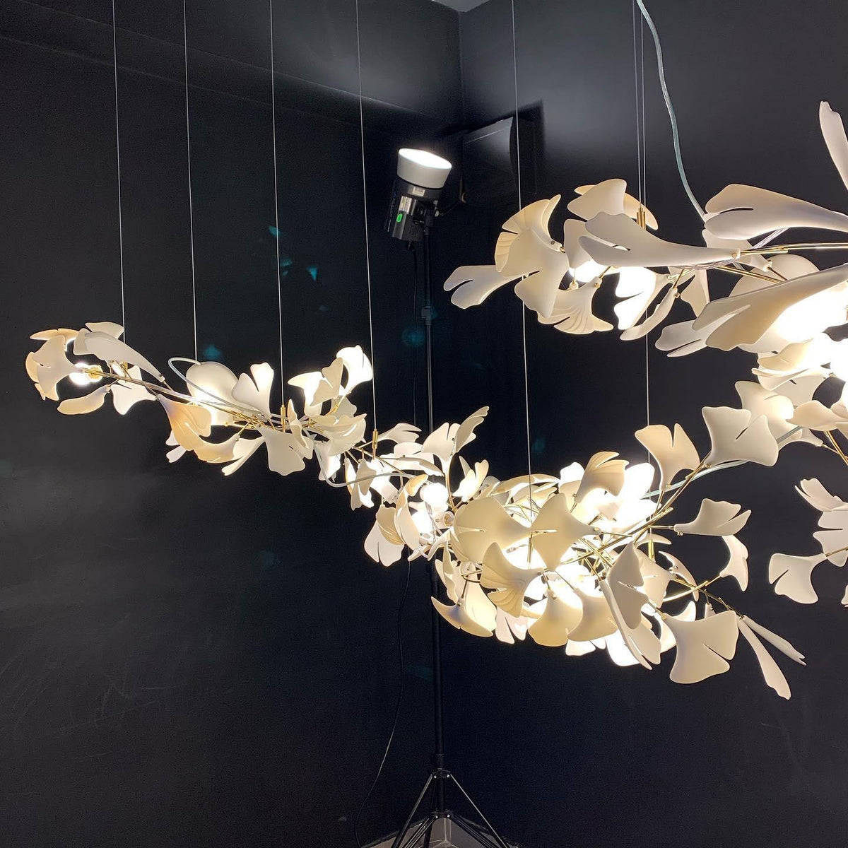 Gingko Chandelier A - Aura Lighting