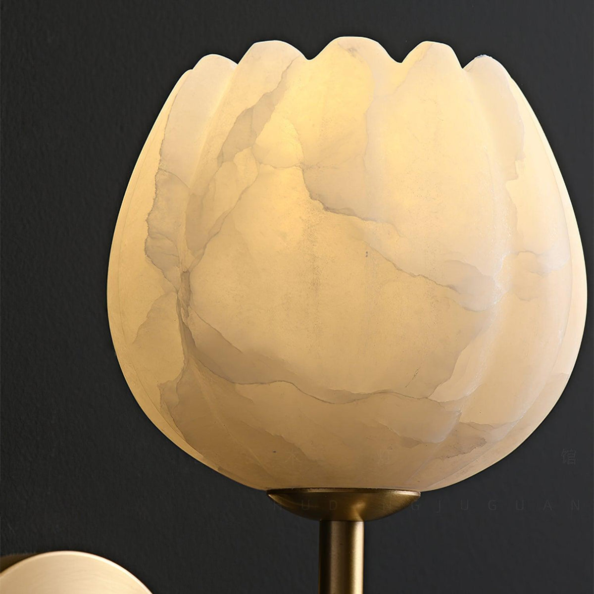 Valentina Lámpara de Pared con Flores de Alabastro — imagen 4 | Aura Lighting