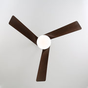 Ventilador de techo Evraeis mostrando la opción de acabado del cuerpo en negro.