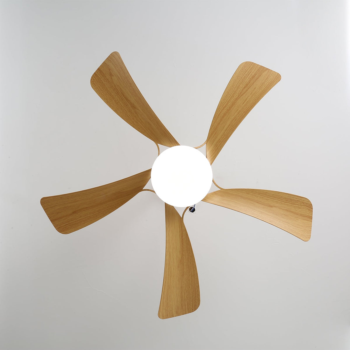 Ventilador de techo Sylven con luz y aspas en movimiento