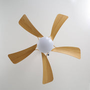 Ventilador de techo Sylven con luz, destacando la pantalla acrílica