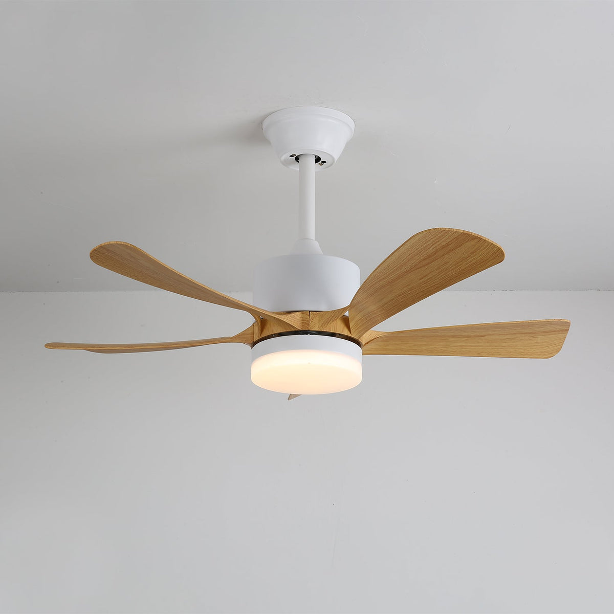 Primer plano de la luz LED integrada del ventilador de techo moderno Sylven