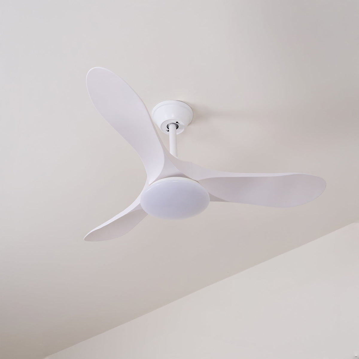 Ventilador de Techo Moderno Velix de Madera con Luz con varias muestras de acabado